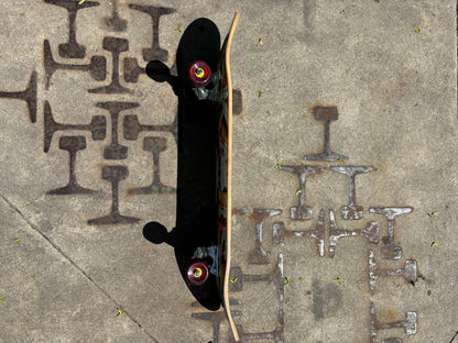 DGK , Shop Complete 7.8”