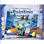 Royal Brush - Paint By Number,  Dolphins. Junior Small