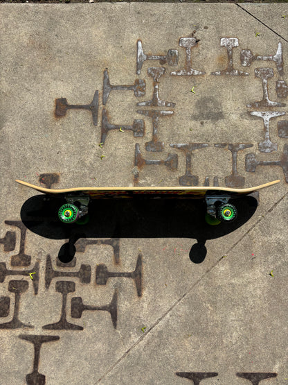 DGK , Shop Complete 8”