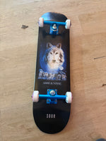 Sour Solutions Shop Complete 8.” Abbe&Nisse