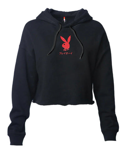 Color Bars - Hoodie, Rabbit Head Logo Cropped