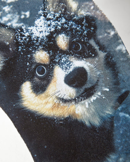 Es shoes -TJ Rogers Pro model