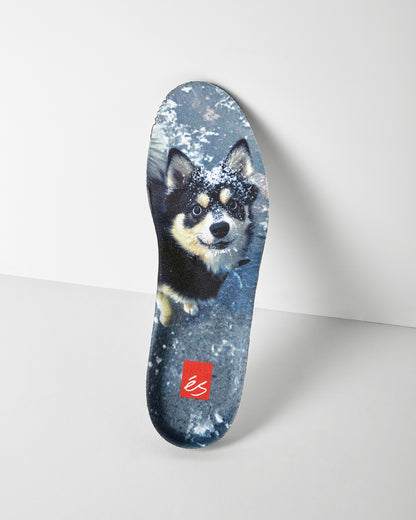 Es shoes -TJ Rogers Pro model